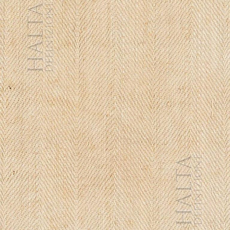 Dettaglio ad altissima risoluzione della trama della Sindone